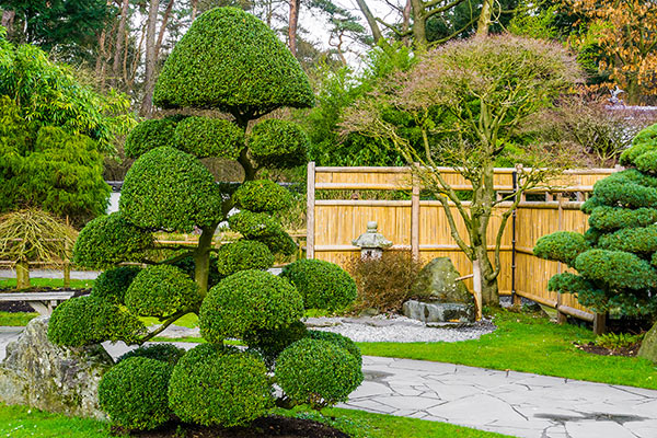 Service à la personne jardinage